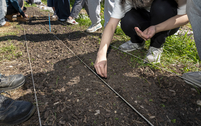 Des mains en train de semer des graines dans la terre 