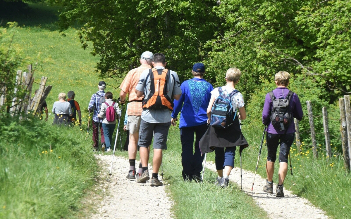 Balade conviviale : une journée le long de l’Yvette