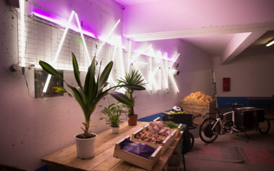 Décor en lumière et plantes La Caverne