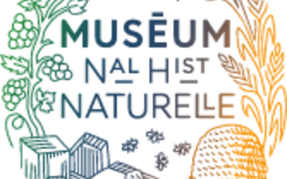 Automne de la science, quand la nature nous inspire : rencontre avec Marion Segall, spécialiste des vertébrés et des serpents