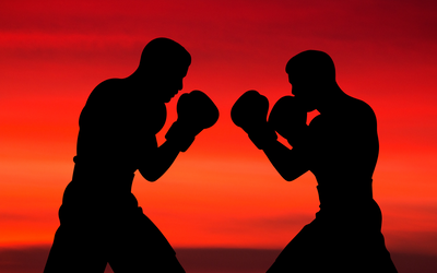 combattants en sport de combats