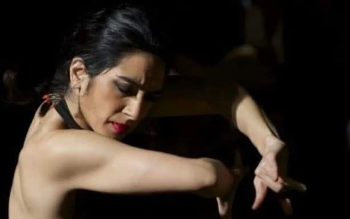 Danseuse Karine Gonzalez donne cours de flamenco à Paris, Flamenco en France