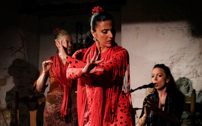 cours de danse flamenco 