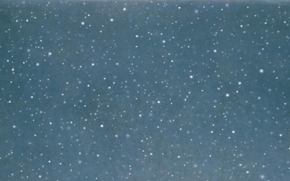 Contrepoint contemporain. Vija Celmins