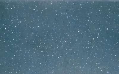 Peinture de  Vija Celmins représentant un ciel étoilé