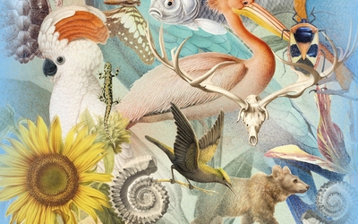 Oeuvre colorée représentant plusieurs espèces animales sur un fond bleu
