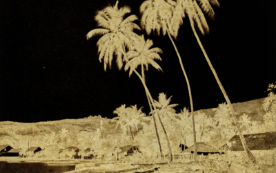 Photographie de Gustave Viaud en noir et jaune d'un bord de plage