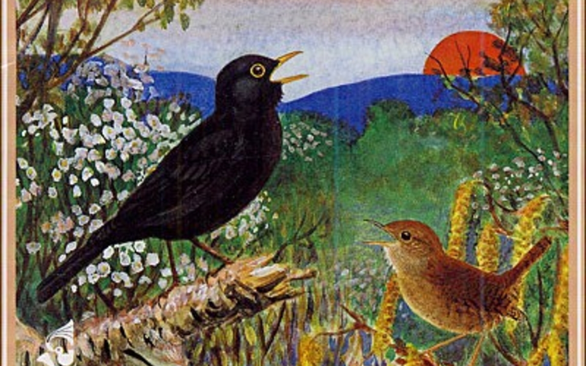 Le Grand bain : le réveil des oiseaux en Bresse