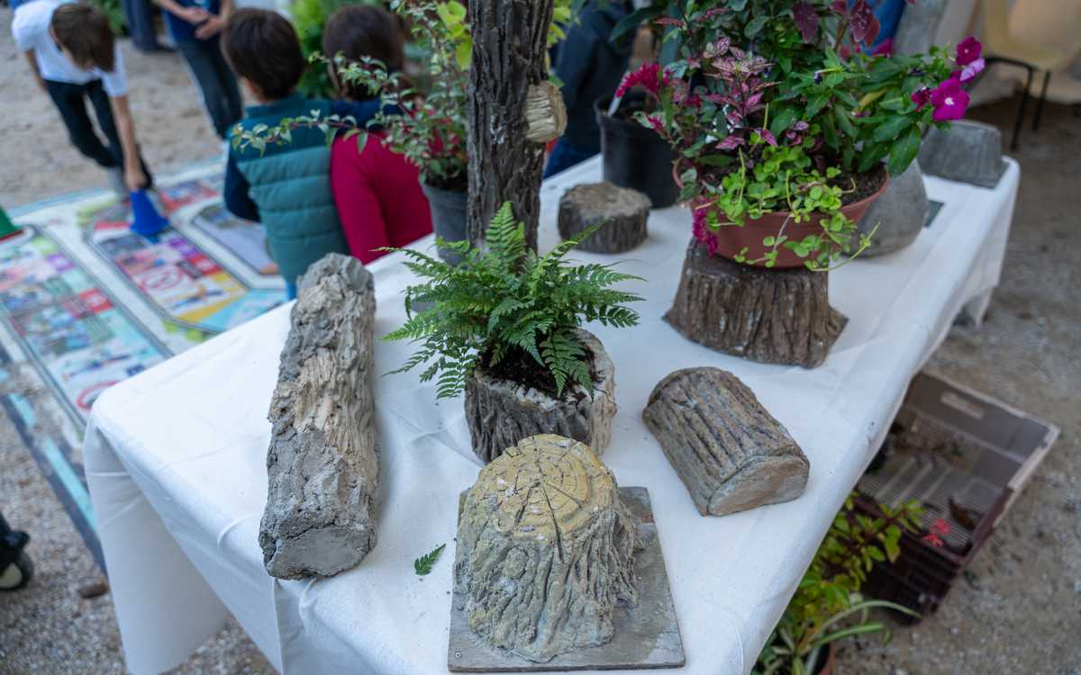 Fête des jardins : le 10e célèbre la nature en ville !