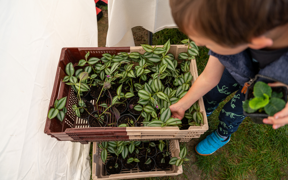 Fête des jardins : le 6e célèbre la nature en ville !