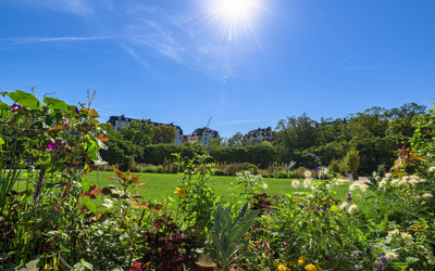 Vue en contre-jour avec un soleil radieux,sur la grande pelouse du square depuis une décoration florale au premier plan
