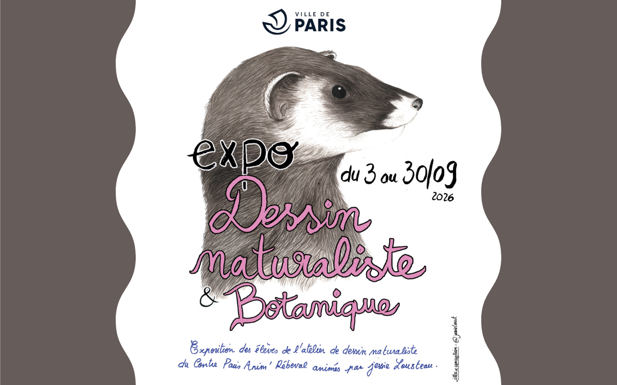 Exposition : Dessin naturaliste et botanique