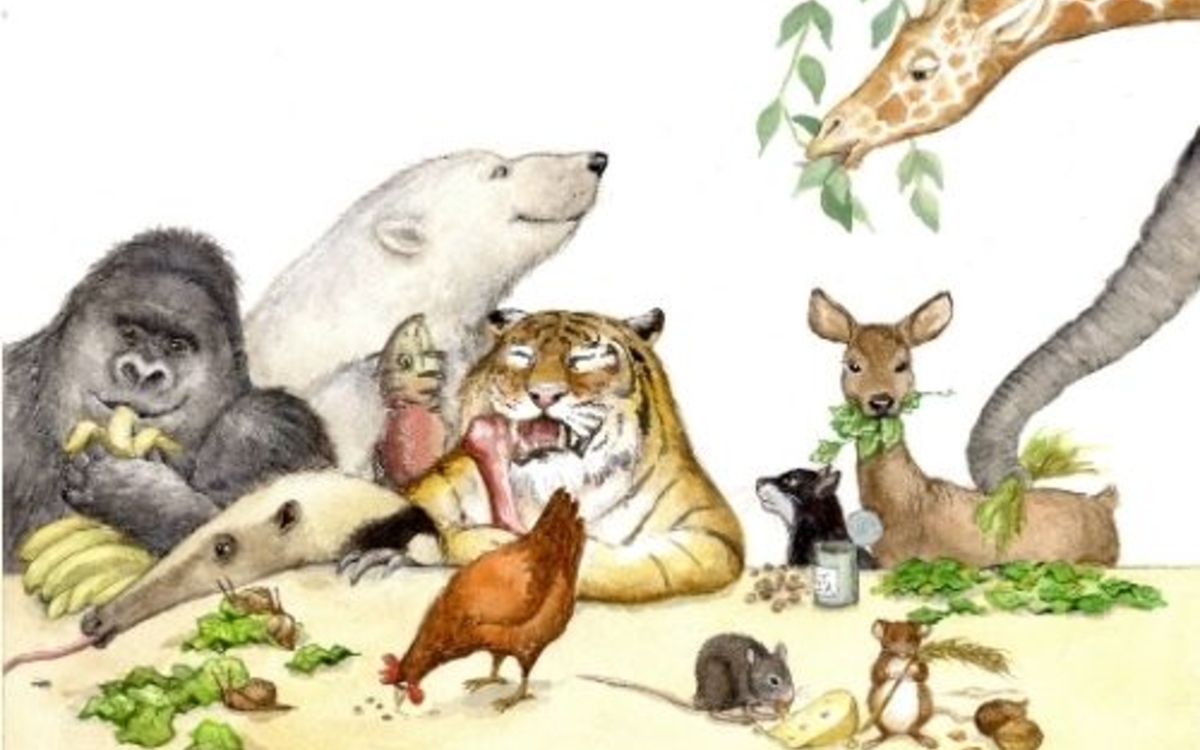 "Bon appétit les animaux !" un album des éditions du Ricochet