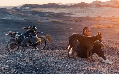 Film Black dog de  Hu Guan