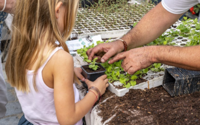 Enfant faisant des plantation en petit pot avec l'aide d'un adulte