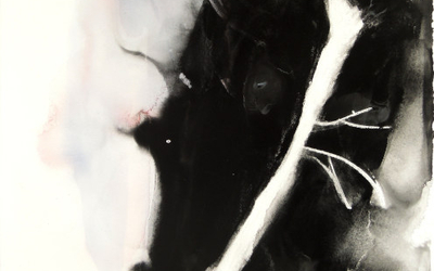Endemic, gouache et cire sur papier