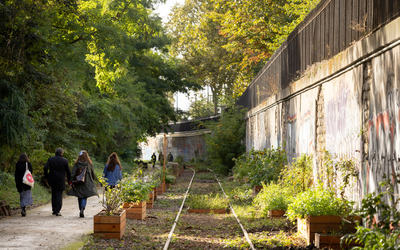 le jardin avec ses cultures 