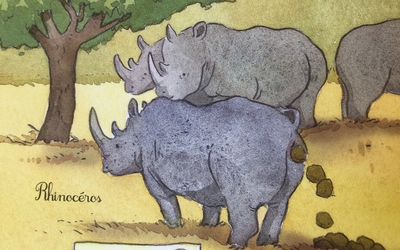 rhinocéros qui font leurs besoins
