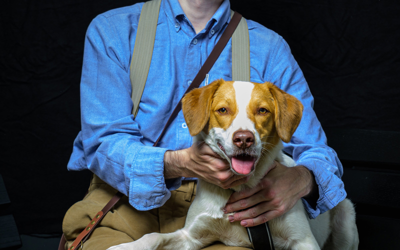 Chien posant sur les genoux d'un homme