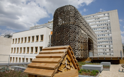 La médiathèque J Badwin et la Maison des réfugiés vue de haut