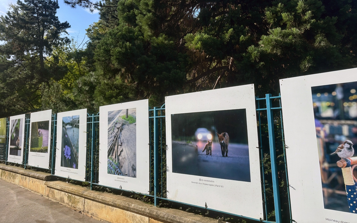 panneaux d'exposition sur les grilles d'un jardin