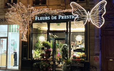 Façade de la boutique Fleurs de Prestige illuminée de nuit, avec un arbre scintillant et un grand papillon lumineux.