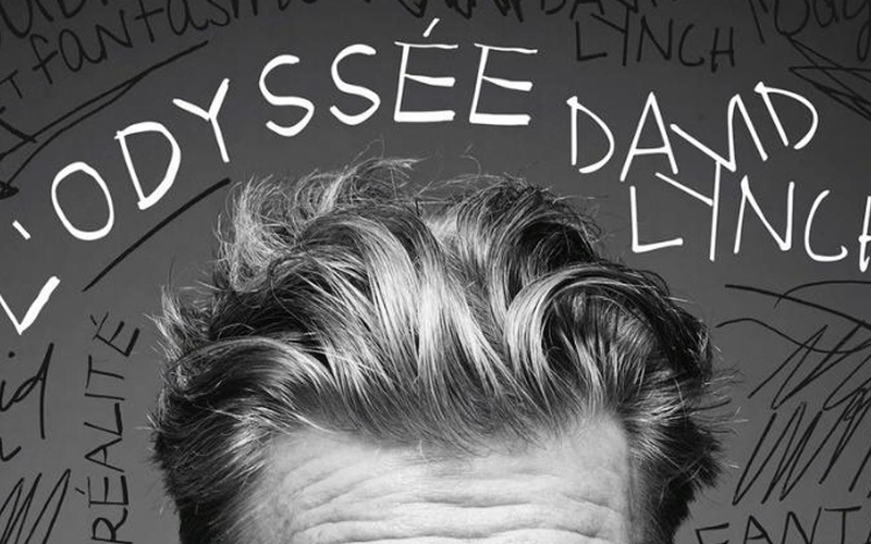 L'image est un détail de la couverture de L'Odyssée David Lynch de Thierry Jousse. On y voir le front de David Lynch et le titre de l'ouvrage