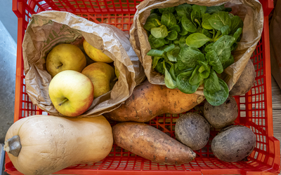 des légumes dans un panier 