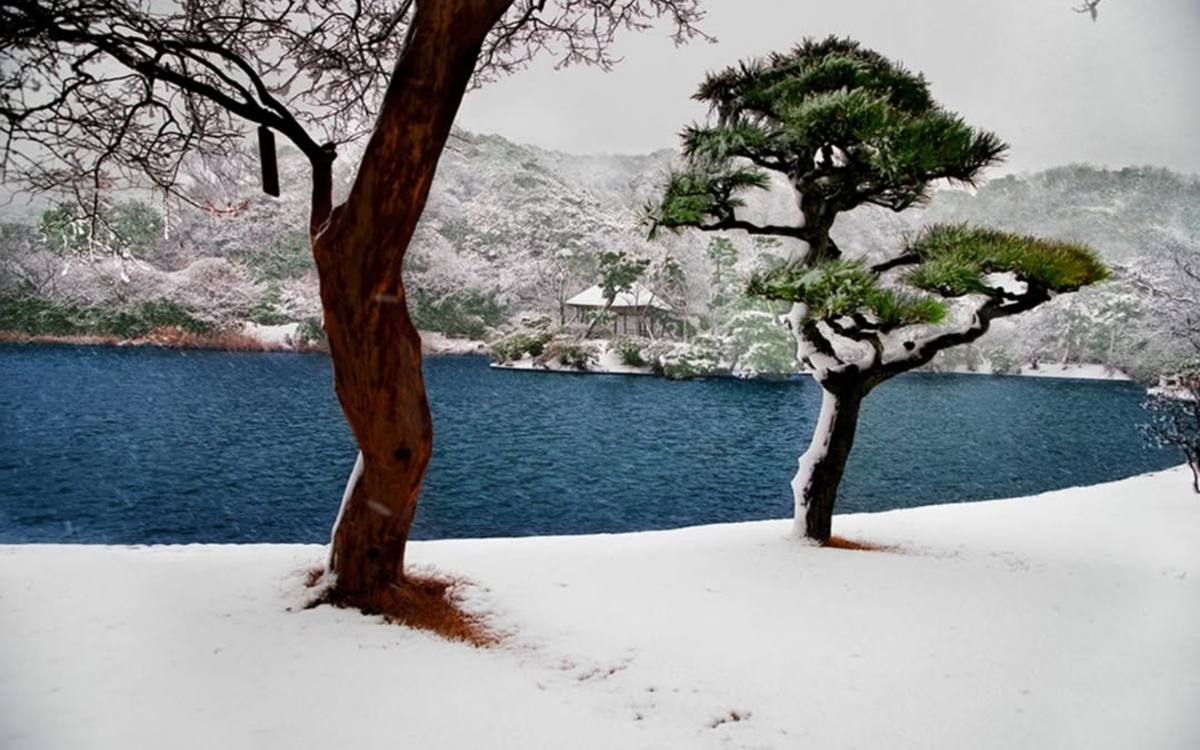 Photographie de Steve McCurry représentant un paysage sous la neige au Japon